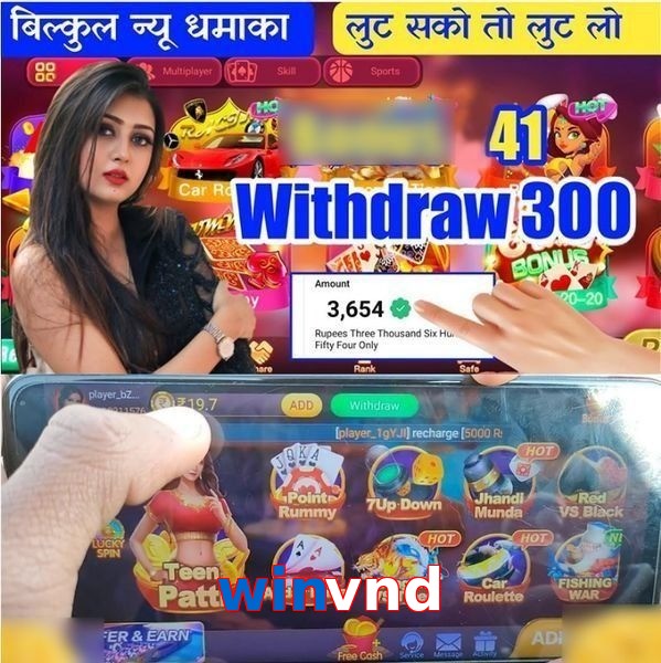 winvnd